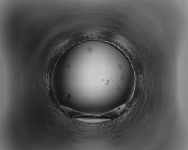 X0000097831111200803201452