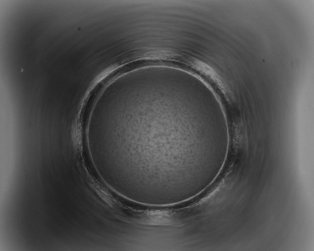 X0000097831114200803201452
