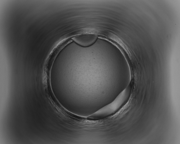 X0000097831115200803201452