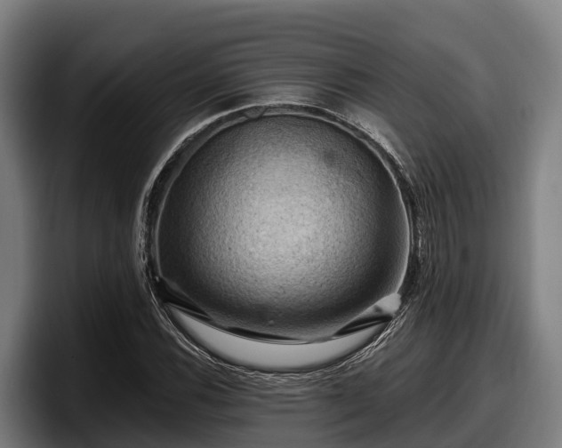 X0000097831116200803201452
