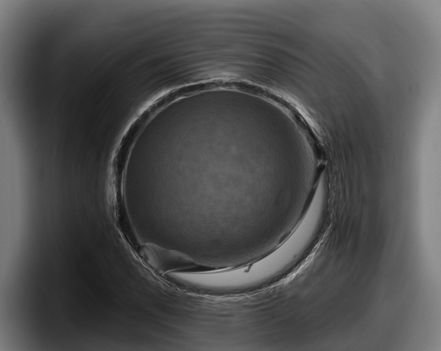 X0000097831118200803201452
