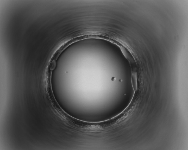 X0000097831119200803201452