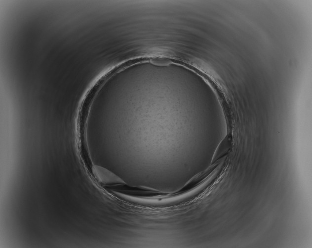 X0000097831120200803201452