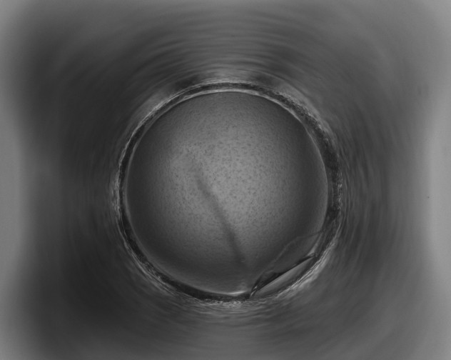 X0000097831121200803201452