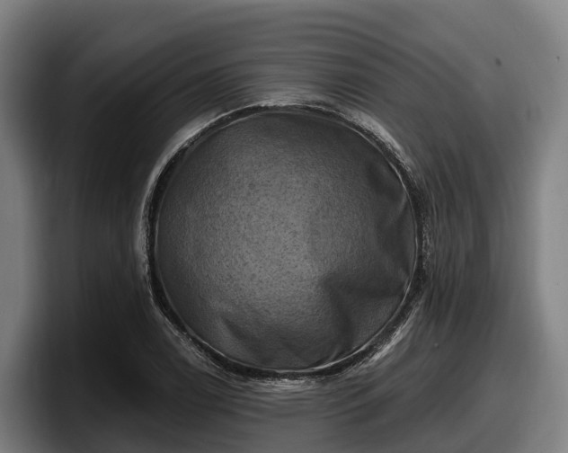 X0000097831122200803201452