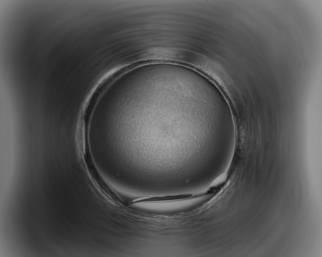 X0000097831123200803201452