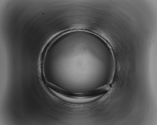 X0000097831124200803201452