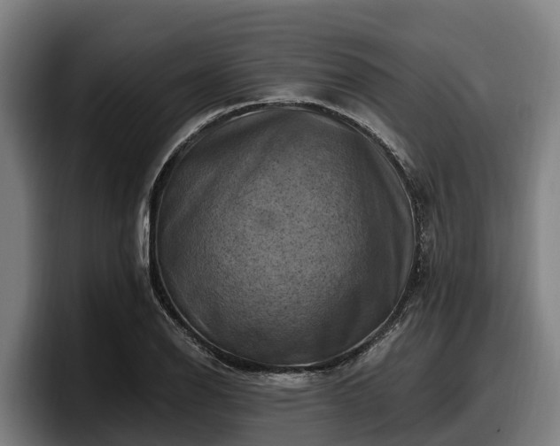 X0000097831126200803201452