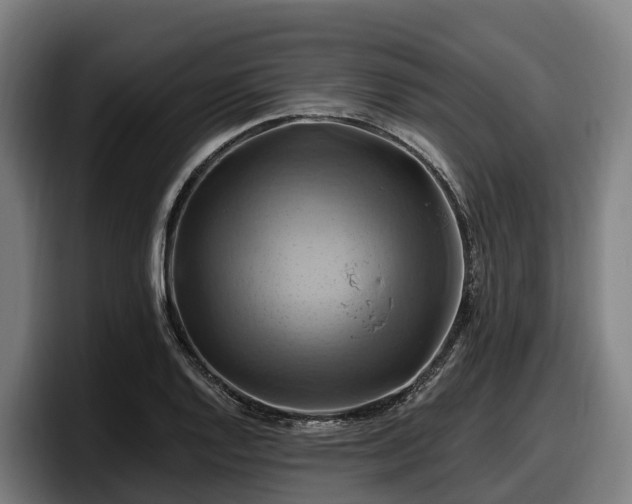X0000097831128200803201452