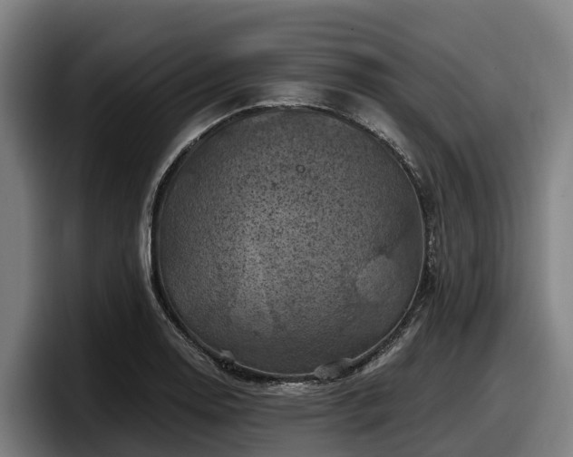 X0000097831130200803201452