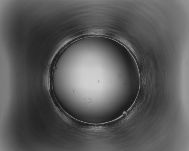 X0000097831131200803201452