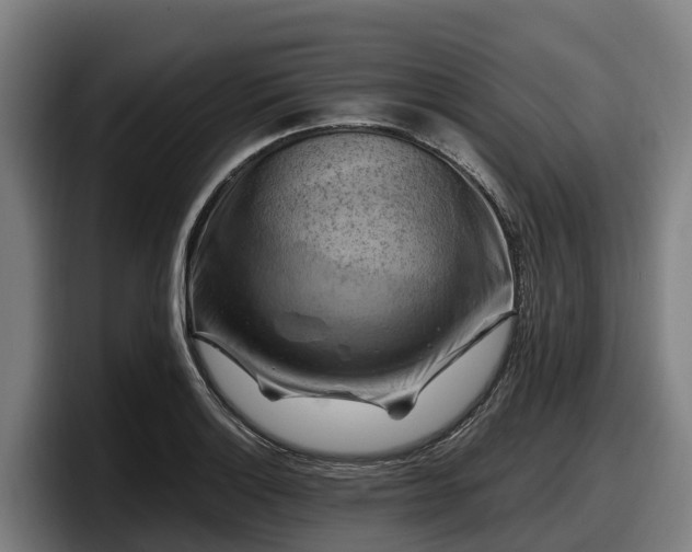 X0000097831132200803201452