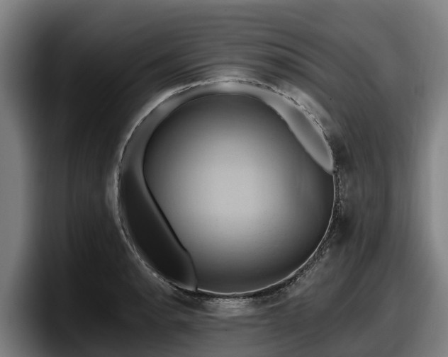 X0000097831134200803201452