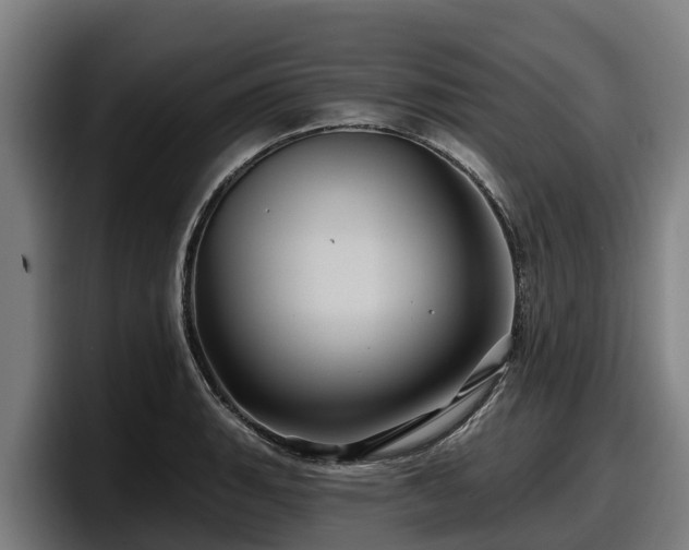 X0000097831135200803201452