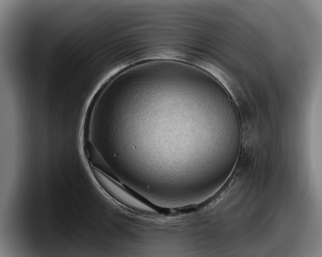 X0000097831139200803201452
