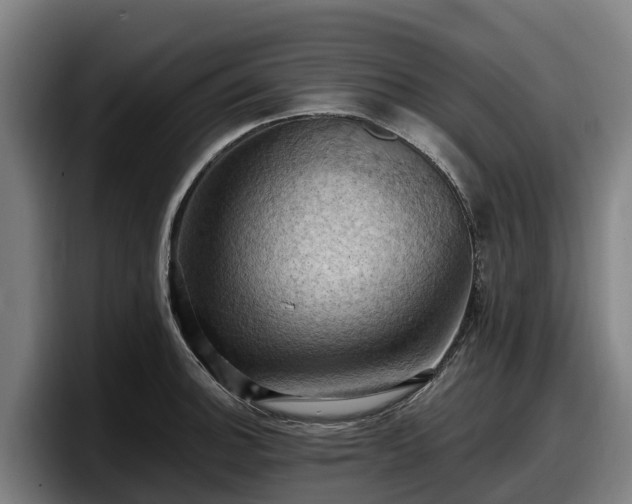 X0000097831140200803201452
