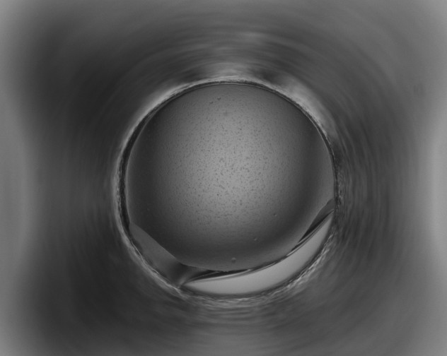 X0000097831142200803201453