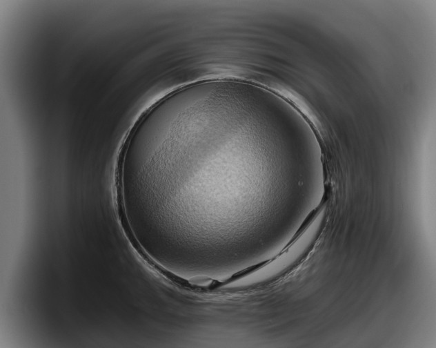 X0000097831143200803201453