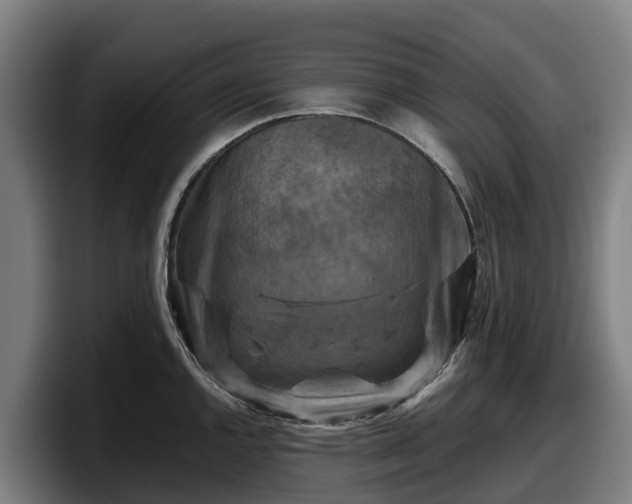 X0000097831144200803201453