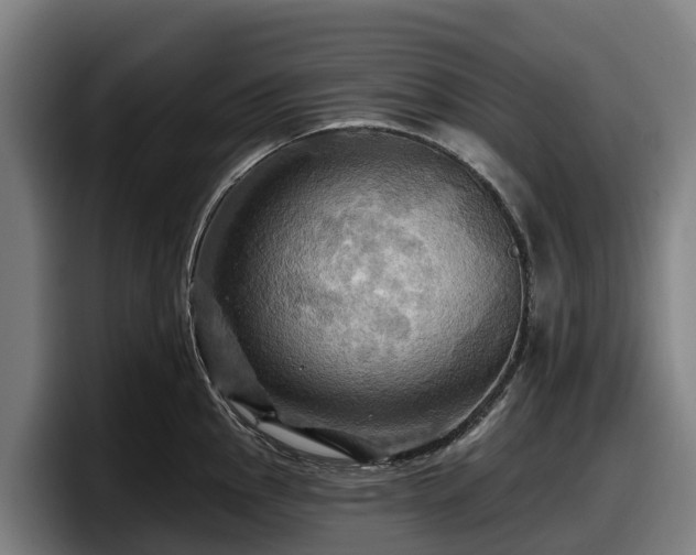X0000097831145200803201453