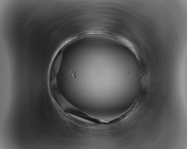 X0000097831146200803201453