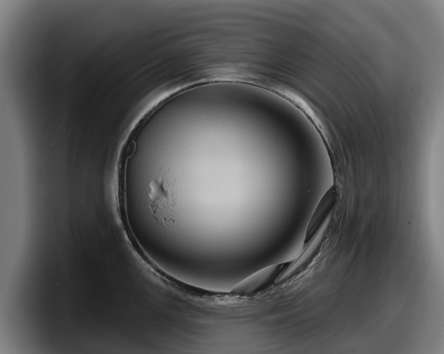X0000097831147200803201453