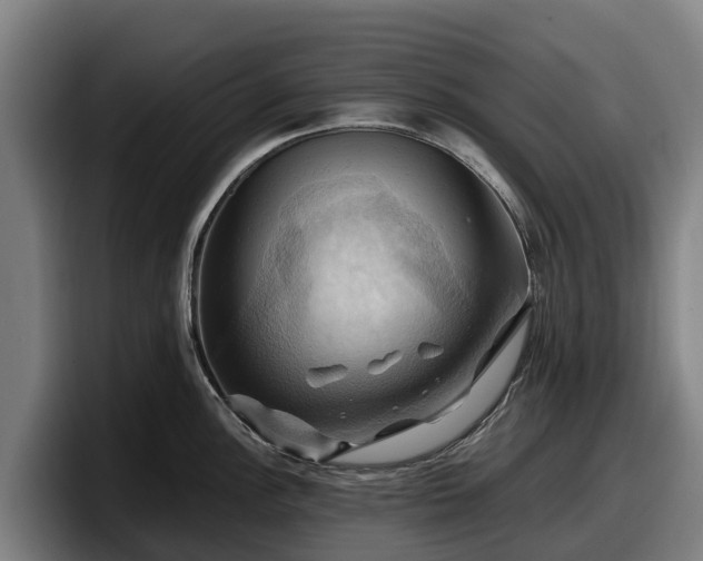 X0000097831148200803201453