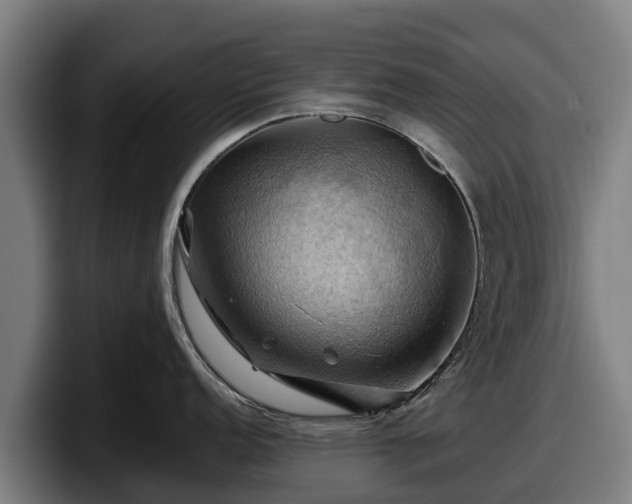 X0000097831152200803201453