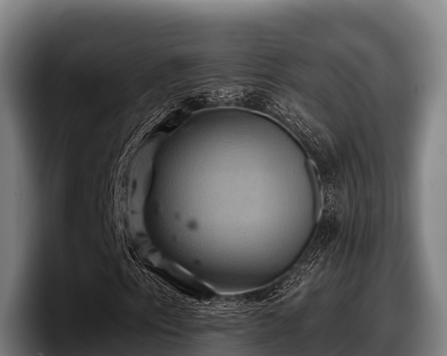 X0000097831153200803201452