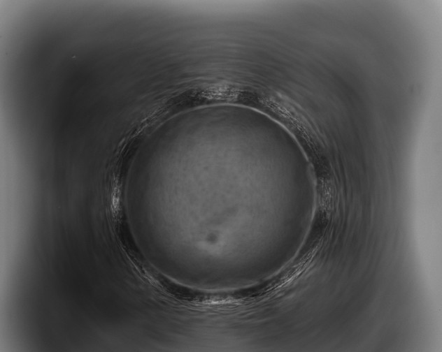 X0000097831154200803201452