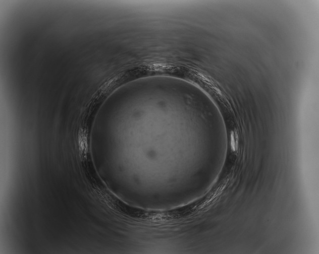 X0000097831155200803201452