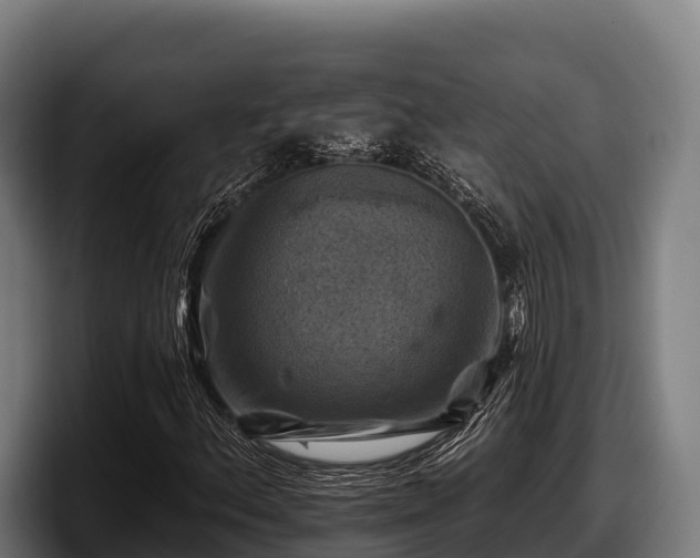 X0000097831156200803201452