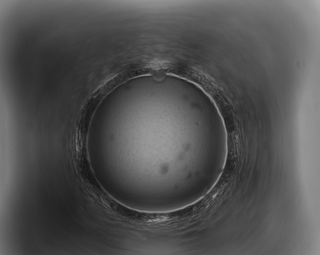 X0000097831158200803201452