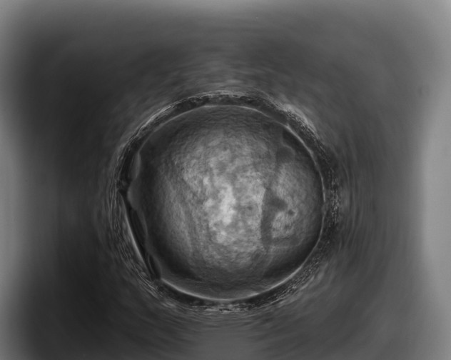 X0000097831159200803201452