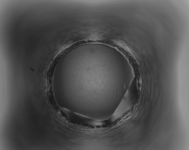 X0000097831160200803201452