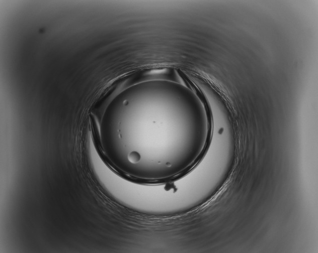 X0000097831161200803201452