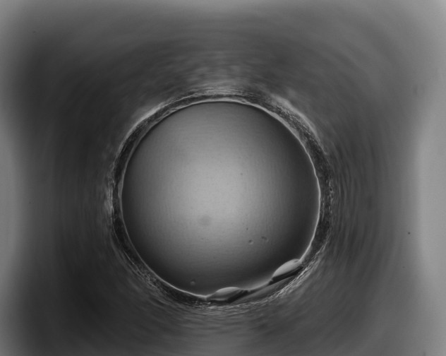 X0000097831166200803201452