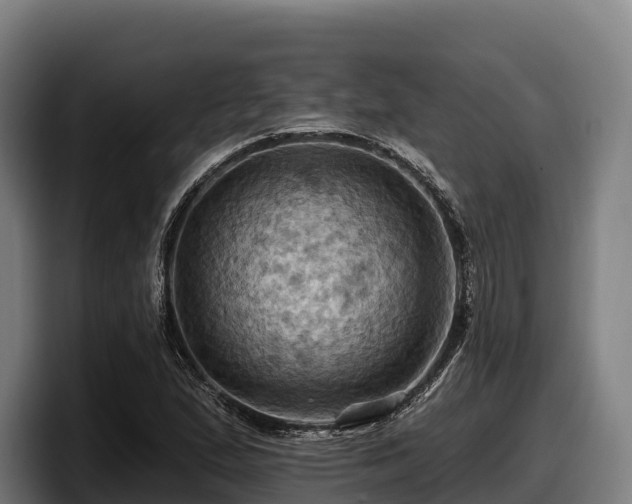 X0000097831167200803201452