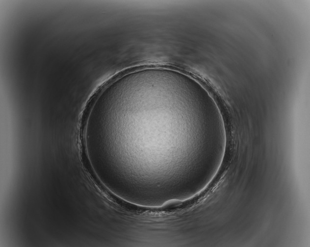 X0000097831168200803201452