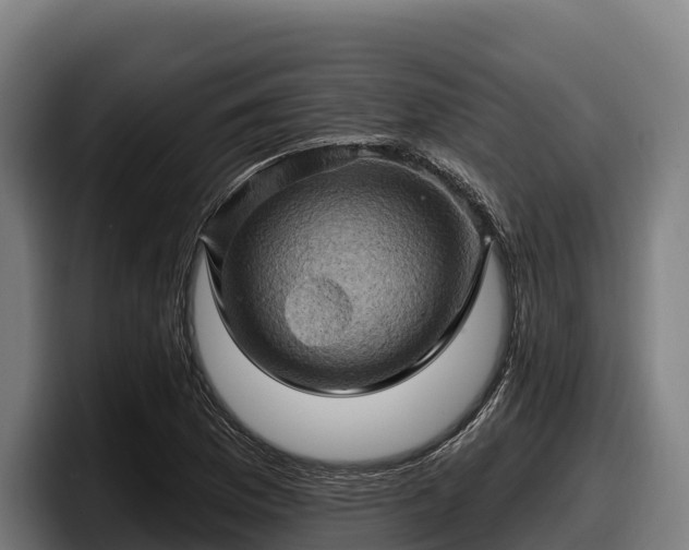 X0000097831169200803201452