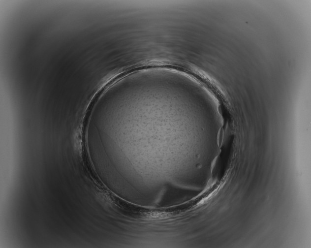 X0000097831170200803201452