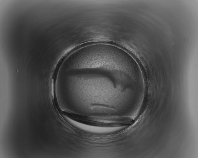 X0000097831171200803201452