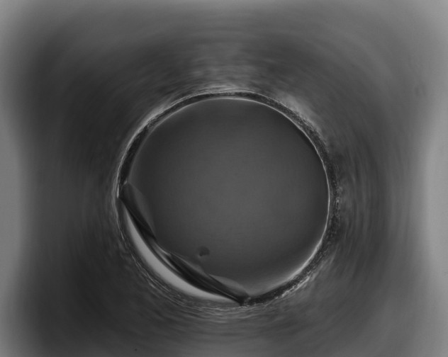 X0000097831173200803201452