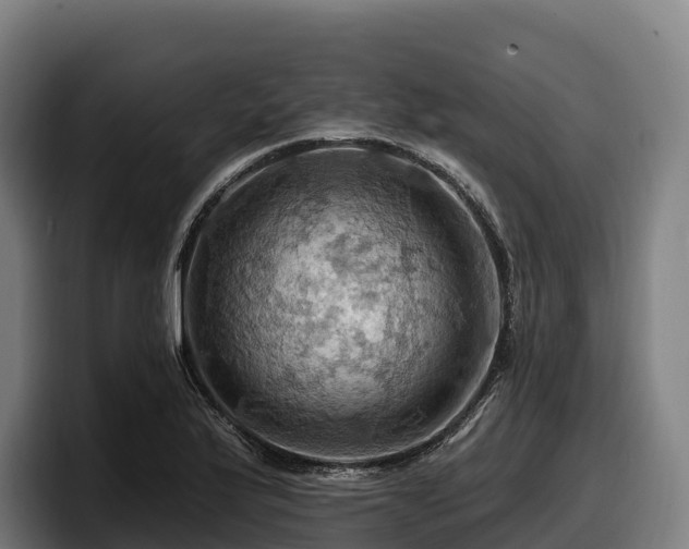 X0000097831175200803201452