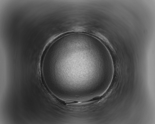 X0000097831176200803201452