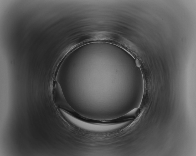 X0000097831177200803201452