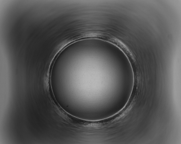 X0000097831178200803201452