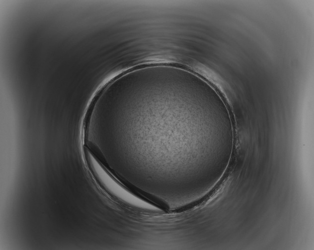 X0000097831179200803201452