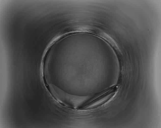 X0000097831180200803201452