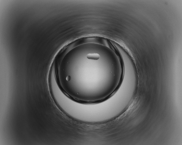 X0000097831181200803201452